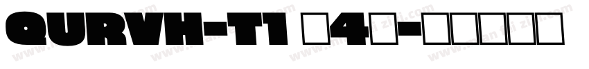QURVH-T1 (4)字体转换